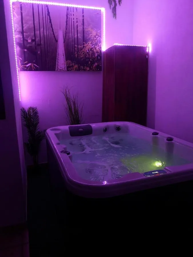 Maison Avec Jacuzzi Saint-Mitre-les-Remparts